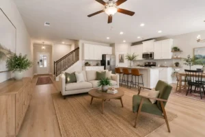 Danielson - living room and kitchen