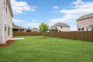 macland - backyard