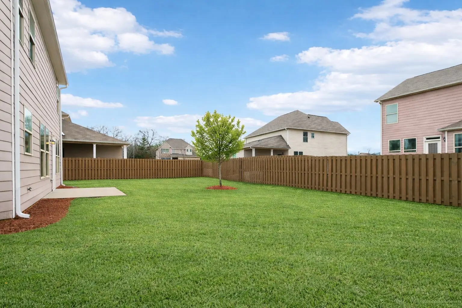macland - backyard