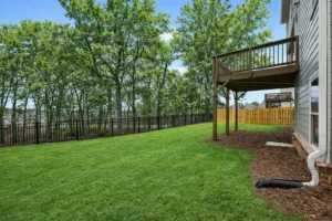 overlook at mill creek - backyard edit 1