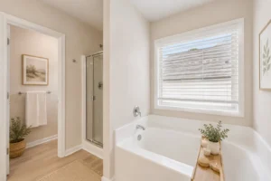 stonewycke primary bathroom - new edit 2